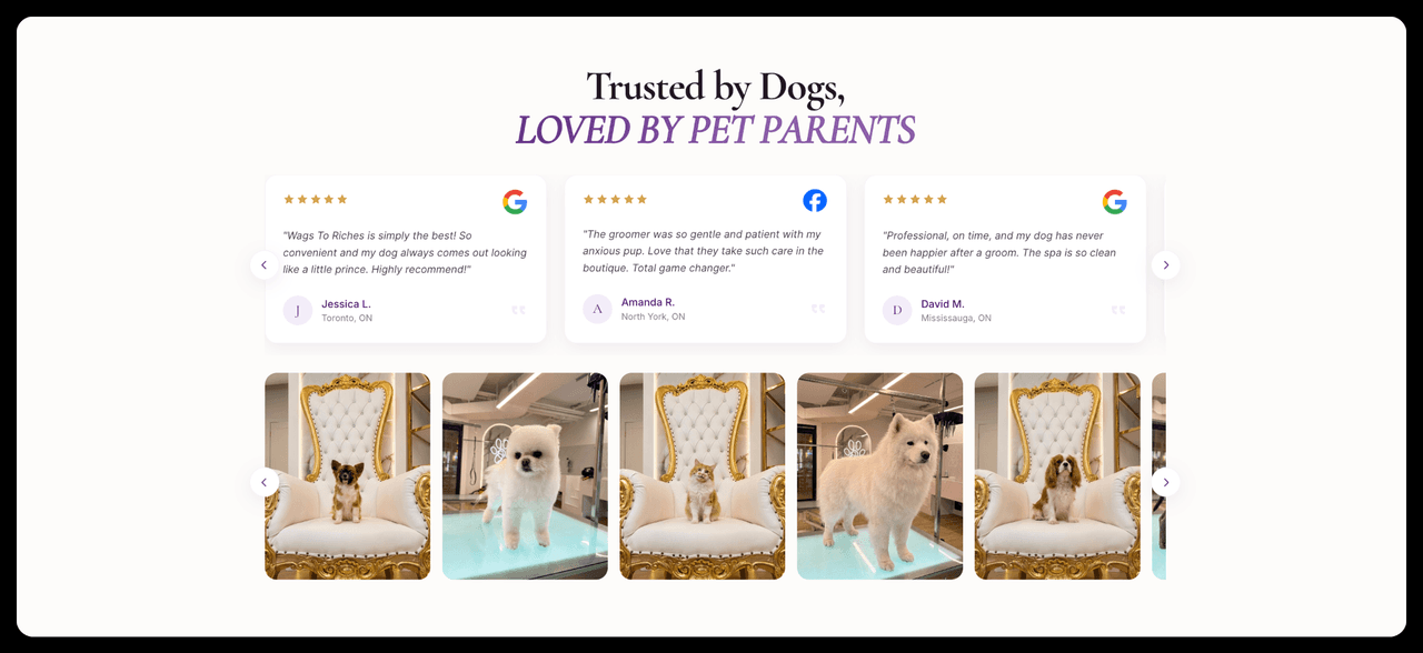 Wags To Riches — screenshot 4