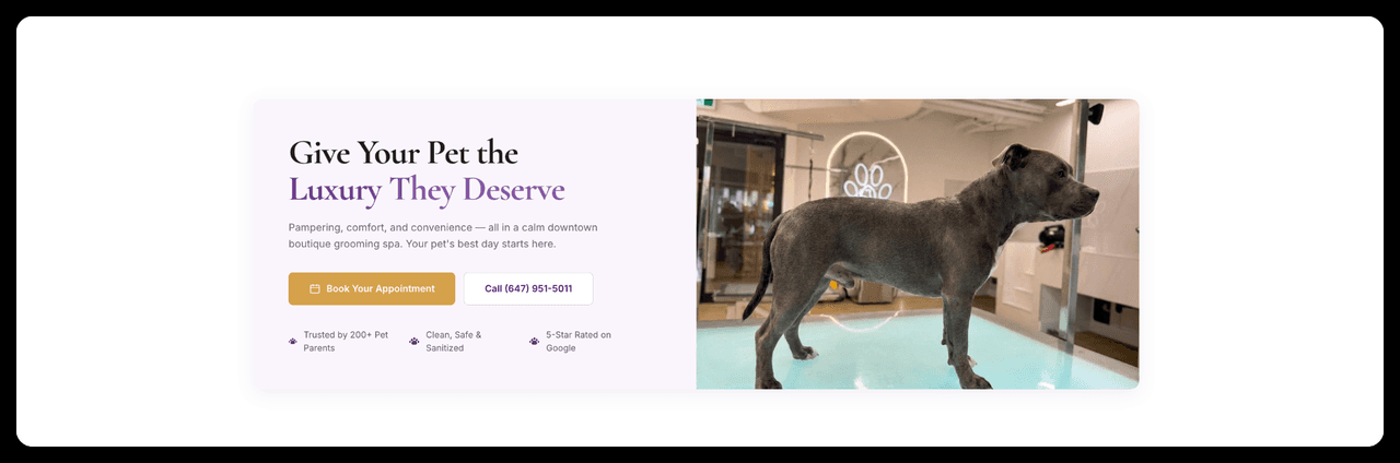Wags To Riches — screenshot 8
